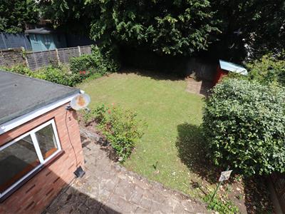 Picture 11